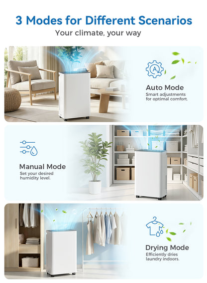 2500 Sq.Ft Dehumidifier for Basement with Drain Hose